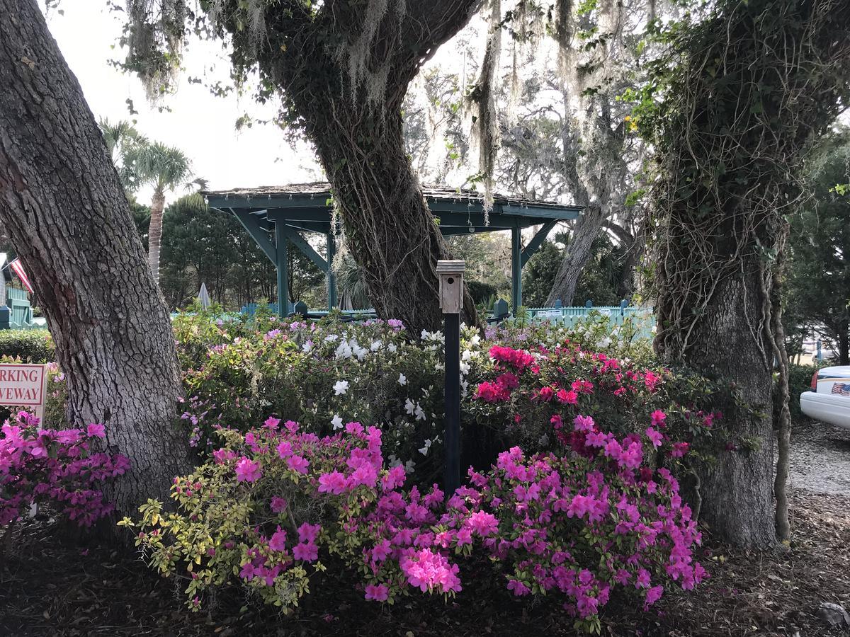 River And Marina Steinhatchee